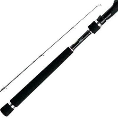 Shop Online Daiwa Lazy Spinning Rod - Marine Hub Shop Online Daiwa Lazy Spinning Rod - Marine Hub