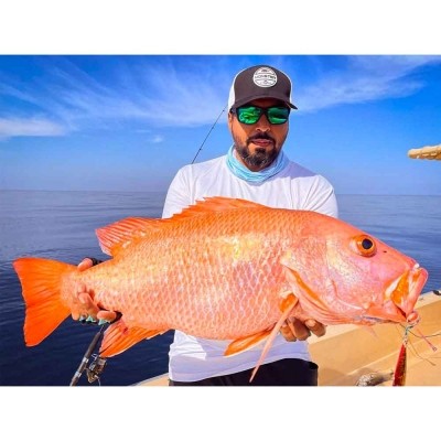 Shop Online Ripple Fisher Ultimo Popping GT Fishing Rods