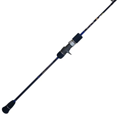 Shop Online Evergreen Poseidon PSLJ603-5 Slow Jerker Jigging