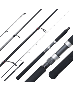 Assassin Duel Spinning Jigging Rod