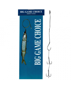 Big Game Choice Live Bait Rig 