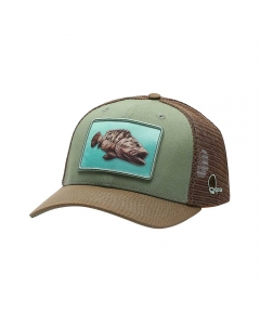 Qassar Performance Cap - Grouper Green Brown